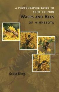 Scott King - A Photographic Guide to Some Common Wasps and Bees of Minnesota, Häftad. Tillgänglighet: Lägg i varukorg