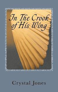 Crystal A. Jones - In the Crook of His Wing: My Personal Encounters With Angels, Häftad. Tillgänglighet: Lägg i varukorg