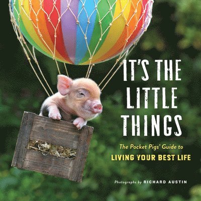 Richard Austin - It's the Little Things, Inbunden. Tillgänglighet: Lägg i varukorg