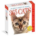 365 Cats Page-A-Day Calendar 2026
