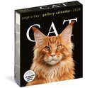 Cat Page-A-Day Gallery Calendar 2026