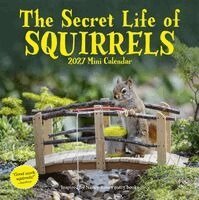 Nancy Rose, Workman Calendars - Secret Life of Squirrels Mini Calendar 2027, Övrigt