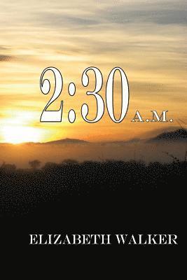 Elizabeth Walker - 2: 30 A.M., Häftad. Tillgänglighet: Lägg i varukorg