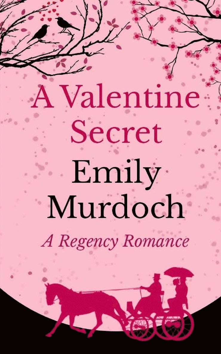 Emily Murdoch - Valentine Secret, Häftad. Tillgänglighet: Lägg i varukorg