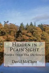 David McClure - Hidden in Plain Sight: Poems from the Darkness, Häftad. Tillgänglighet: Lägg i varukorg