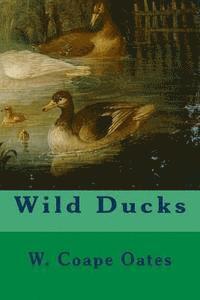 W. Coape Oates - Wild Ducks, Häftad