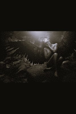 Mindy Baker - ShadowHouse Series: Sanity's Release Volume 2, Häftad. Tillgänglighet: Lägg i varukorg