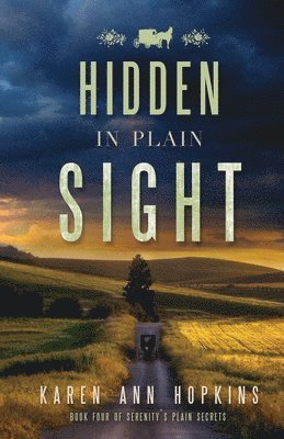Karen Ann Hopkins - Hidden in Plain Sight, Häftad