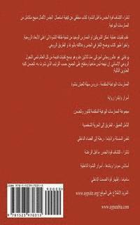 Yogani - Tantra - Discovering the Power of Pre-Orgasmic Sex (Arabic Translation), Häftad