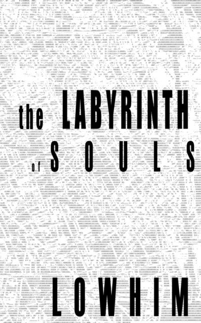 Nelson Lowhim - Labyrinth of Souls, E-bok
