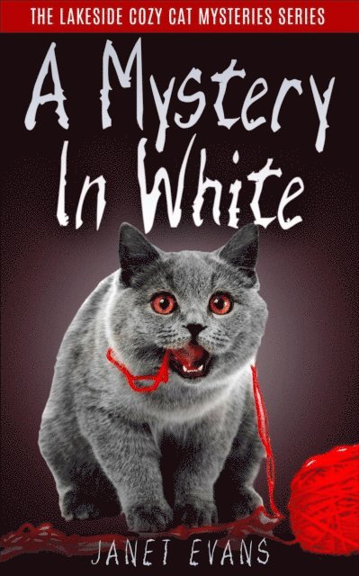 Janet Evans - Mystery In White, E-bok