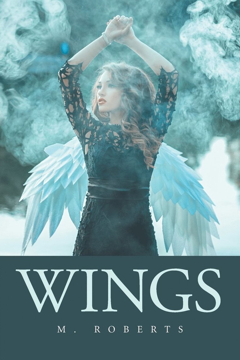 M Roberts - Wings, Häftad