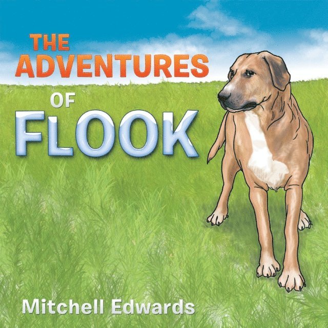 Mitchell Edwards - Adventures of Flook, E-bok