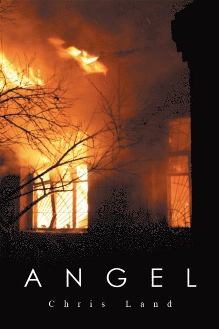 Chris Land - Angel, E-bok