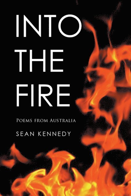 Sean Kennedy - Into the Fire, E-bok