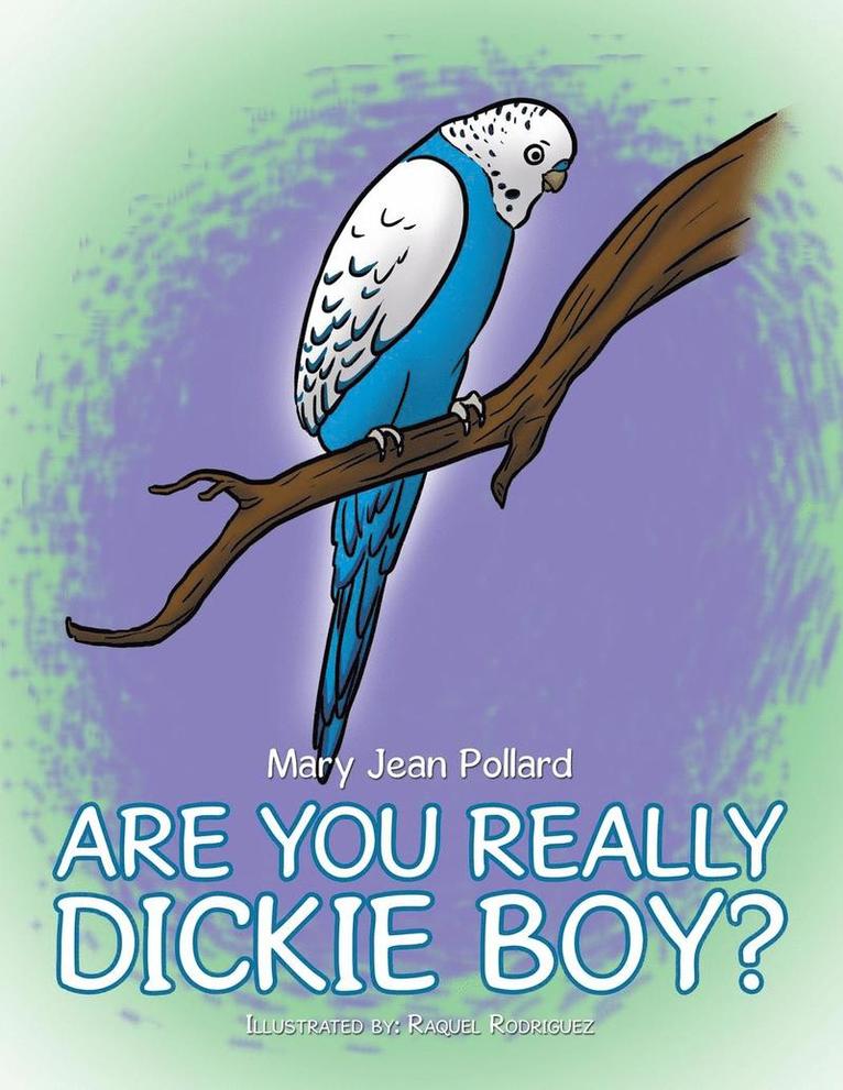 Mary Jean Pollard - Are You Really Dickie Boy?, Häftad
