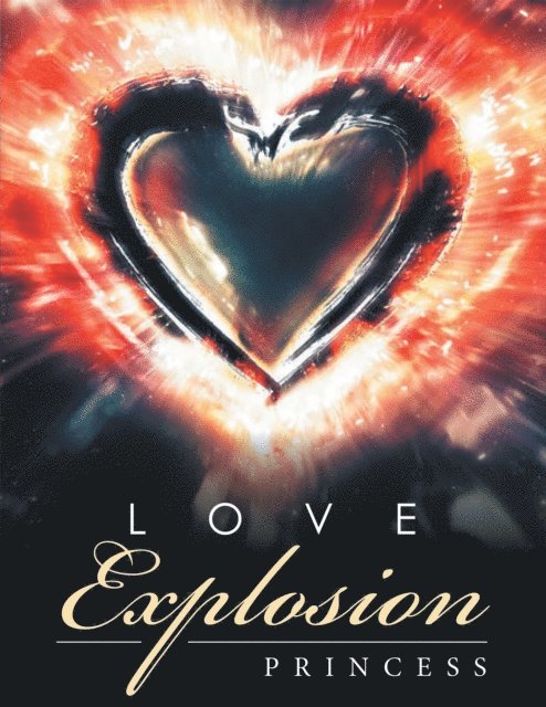 Princess - Love Explosion, E-bok