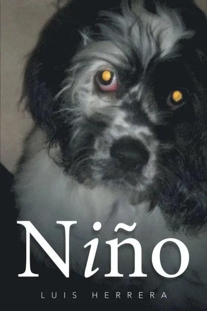 Luis Herrera - Nino, E-bok. Tillgänglighet: Lägg i varukorg
