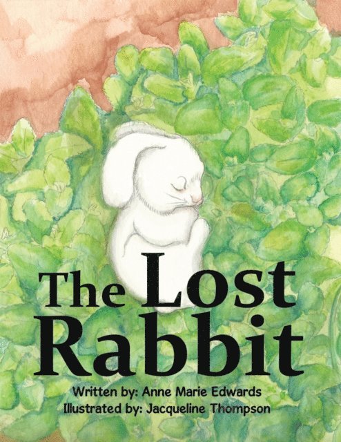 Anne Marie Edwards - Lost Rabbit, E-bok