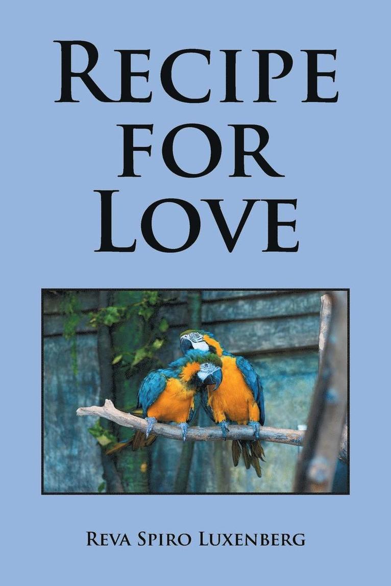 Reva Spiro Luxenberg - Recipe for Love, Häftad