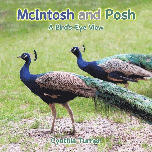 Cynthia Turner - Mcintosh and Posh, E-bok