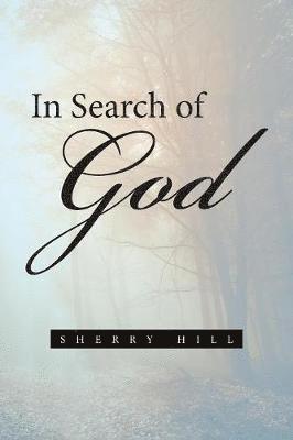 Sherry Hill - In Search of God, Häftad. Tillgänglighet: Lägg i varukorg