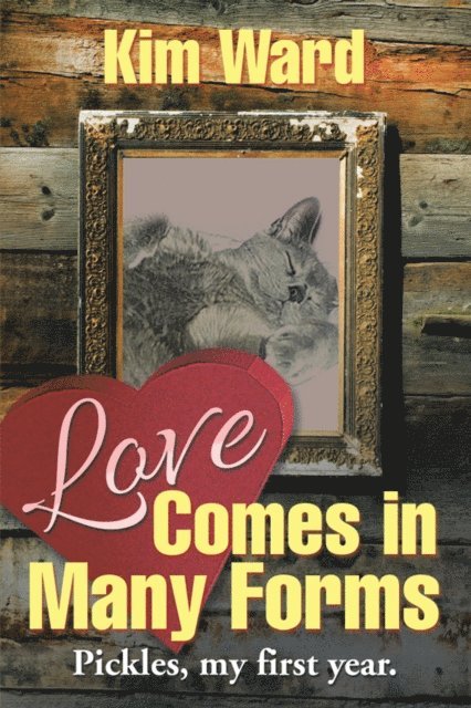 Kim Ward - Love Comes in Many Forms, E-bok