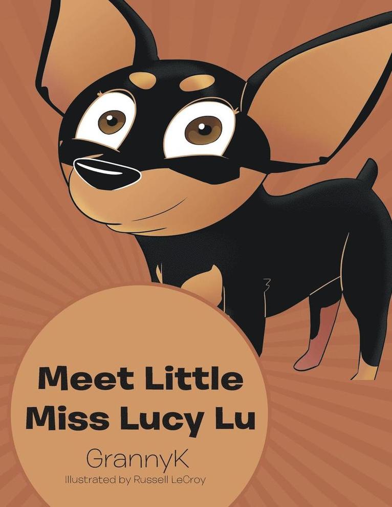 Grannyk - Meet Little Miss Lucy Lu, Häftad. Tillgänglighet: Lägg i varukorg