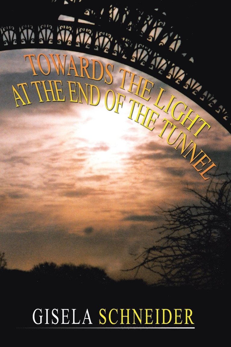 Gisela H E Schneider - Towards the Light at the End of the Tunnel, Häftad