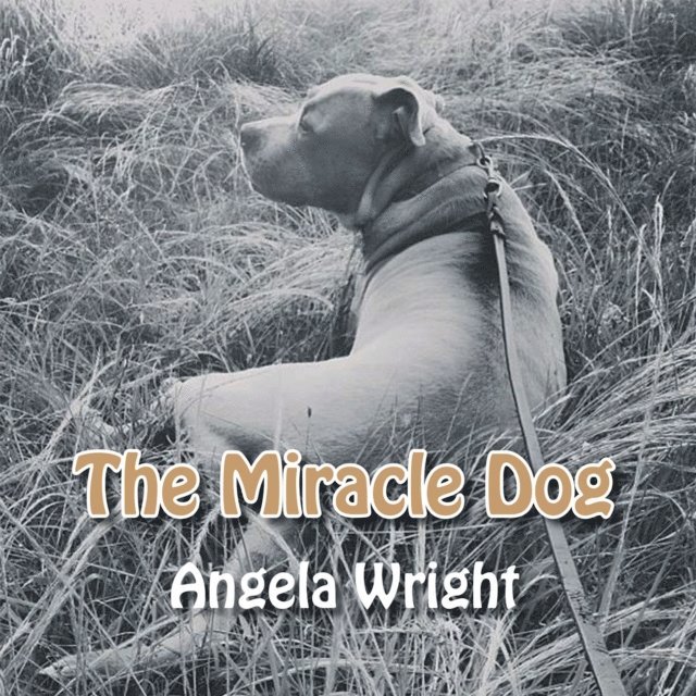 Angela Wright - Miracle Dog, E-bok