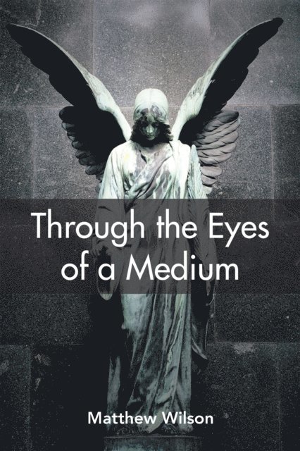 Through the Eyes of a Medium
