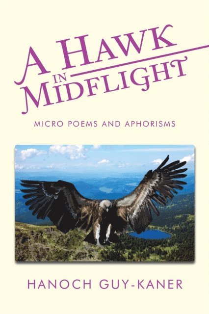 Hanoch Guy-Kaner - Hawk in Midflight, E-bok