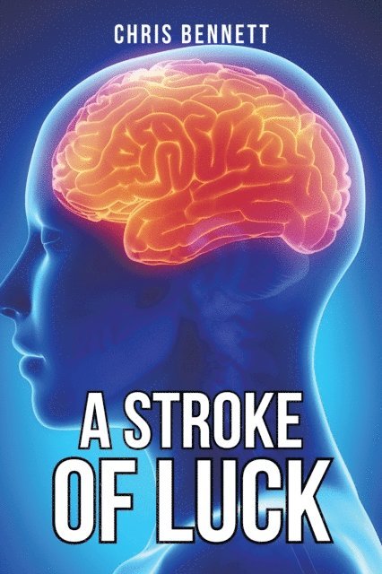 Chris Bennett - Stroke of Luck, E-bok