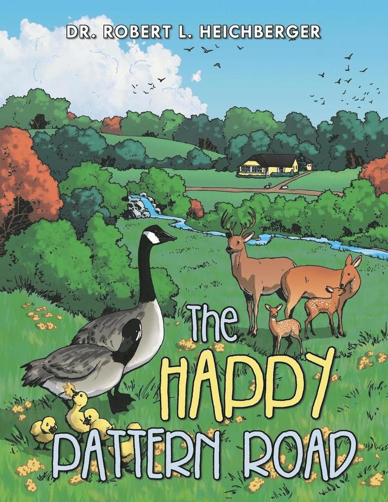 Robert L Heichberger - Happy Pattern Road, Häftad