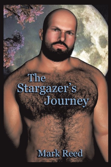 Mark Reed - Stargazer'S Journey, E-bok
