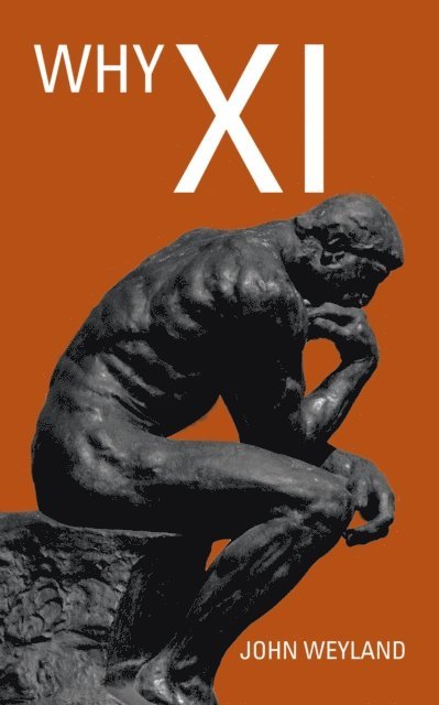 John Weyland - Why Xi, E-bok