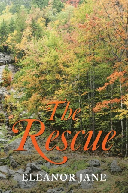 Eleanor Jane - Rescue, E-bok. Tillgänglighet: Lägg i varukorg