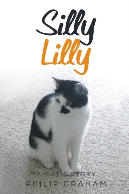 Philip Graham - Silly Lilly, E-bok