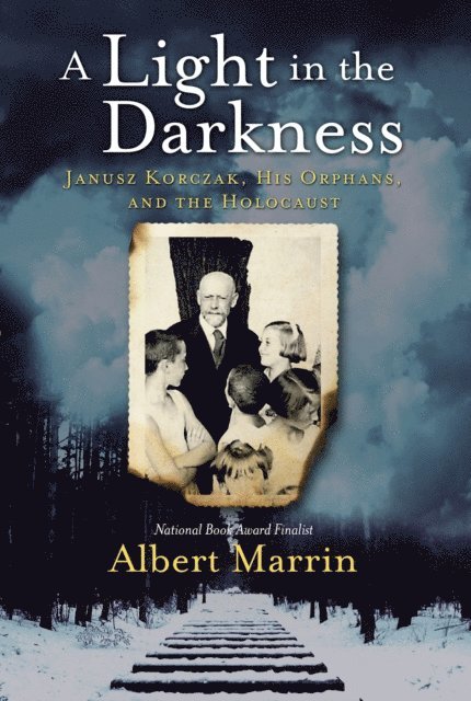 Albert Marrin - Light in the Darkness, E-bok