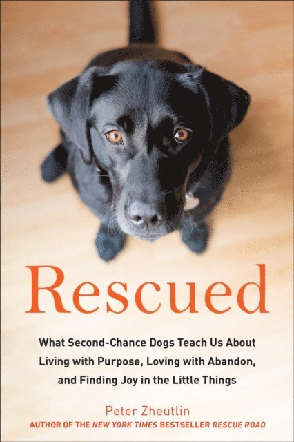 Peter Zheutlin - Rescued, E-bok. Tillgänglighet: Lägg i varukorg