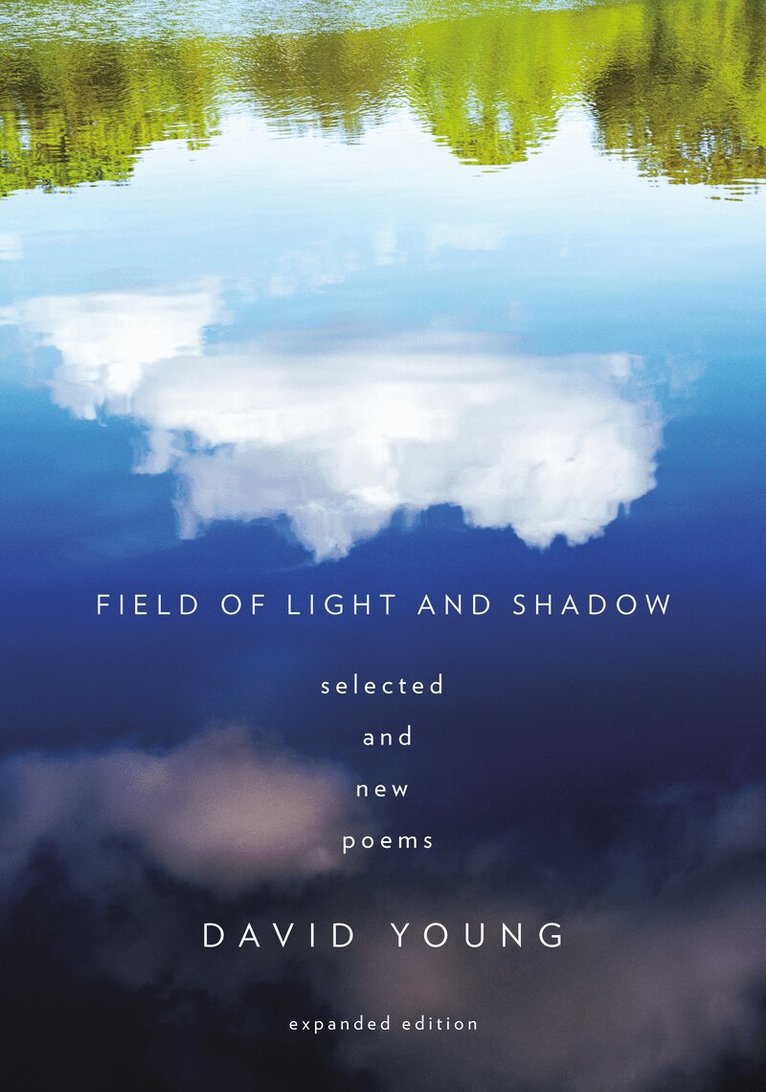 David Young - Field of Light and Shadow, Häftad