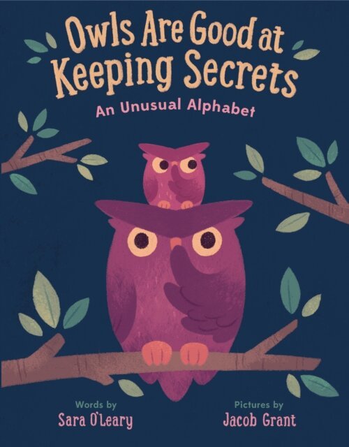 Sara O'Leary - Owls are Good at Keeping Secrets, E-bok