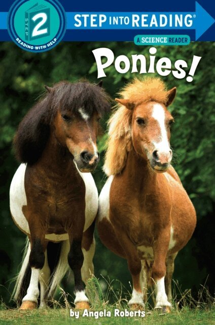 Angela Roberts - Ponies!, E-bok