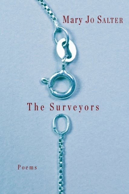 Mary Jo Salter - Surveyors, E-bok
