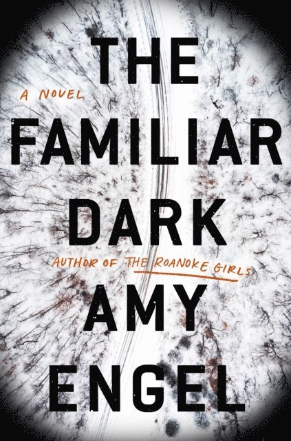 Amy Engel - Familiar Dark, E-bok