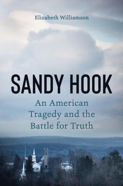 Elizabeth Williamson - Sandy Hook, E-bok
