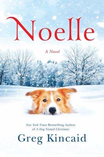 Greg Kincaid - Noelle, E-bok