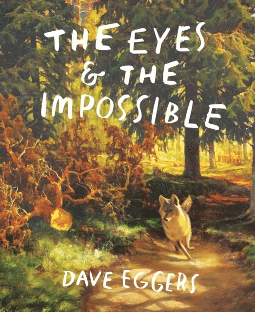Dave Eggers - Eyes and the Impossible, E-bok