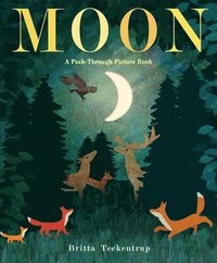 Moon: A Peek-Through Picture Book