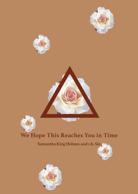 r.h. Sin - We Hope This Reaches You in Time, E-bok